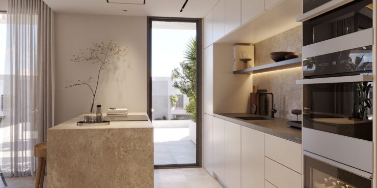 Kitchen1