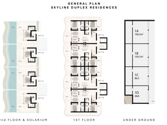 General plan skyline